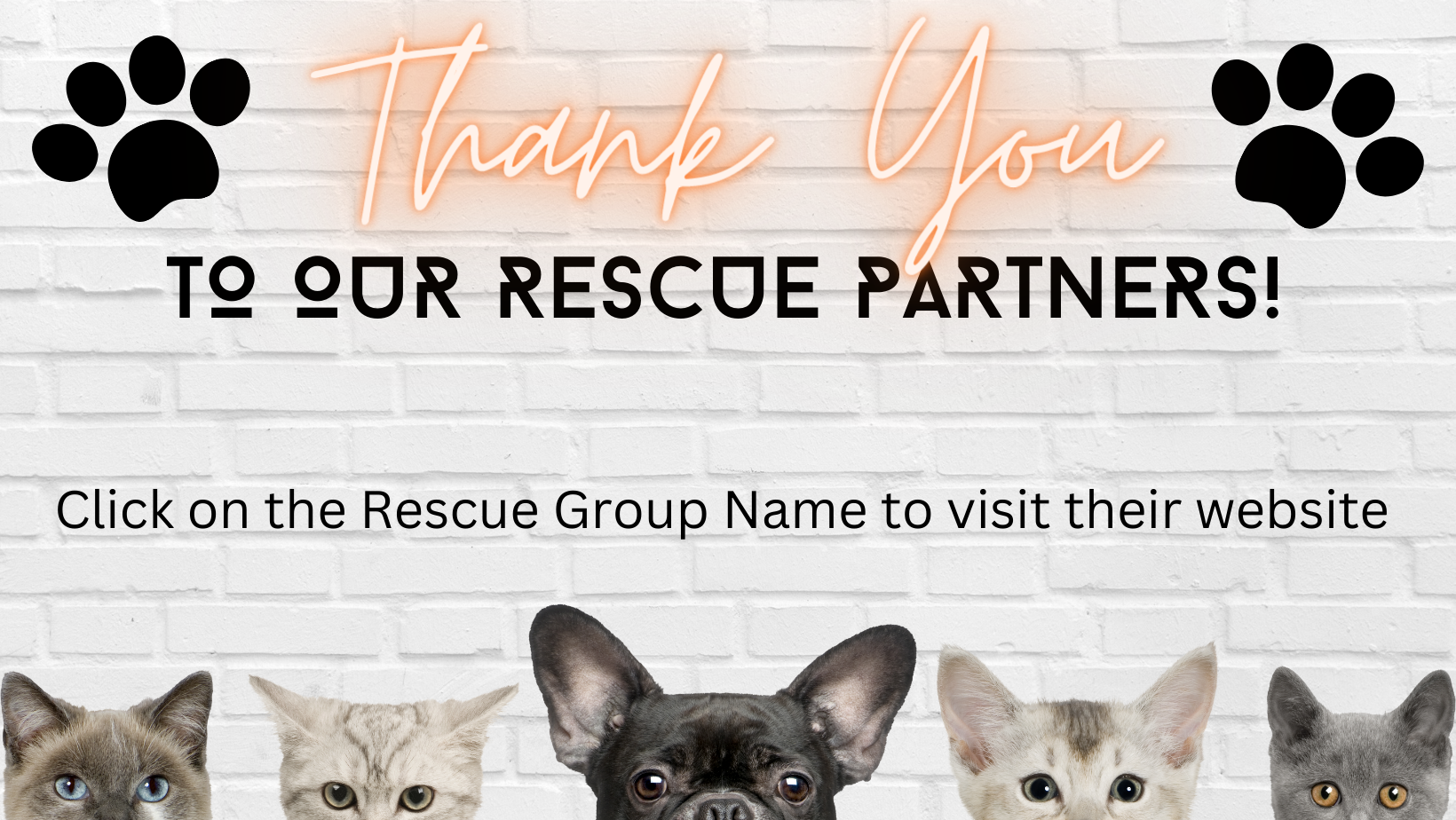 A sign with cats and dogs peeking from the bottom that says "Thank you to our rescue partners" and "Click the Rescue Group to be sent to their website"