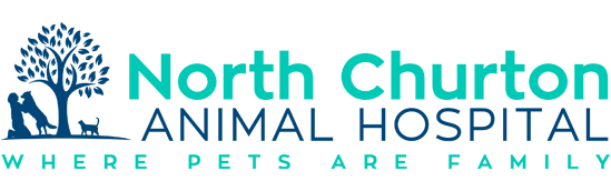 north-churton-logo1
